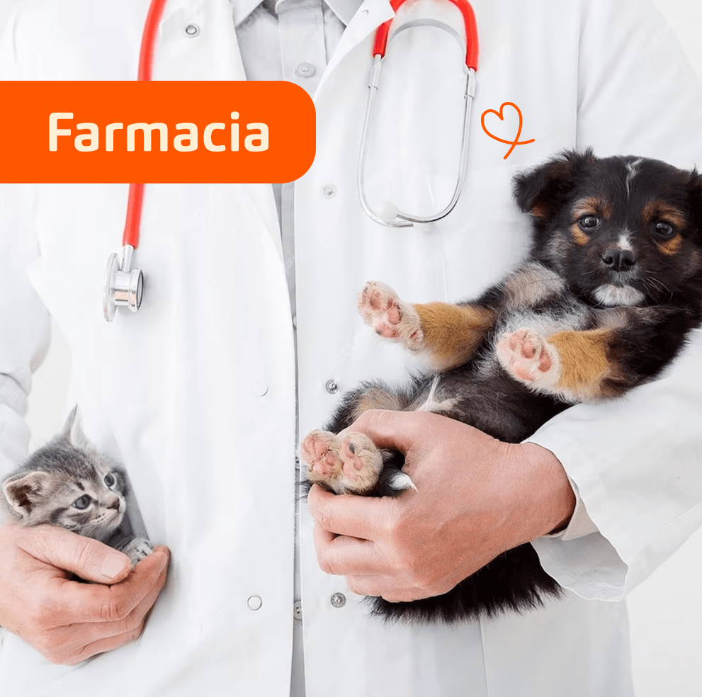 Farmacia